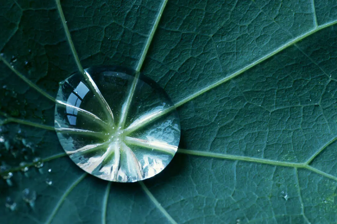 Background image 1